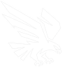 Falcon